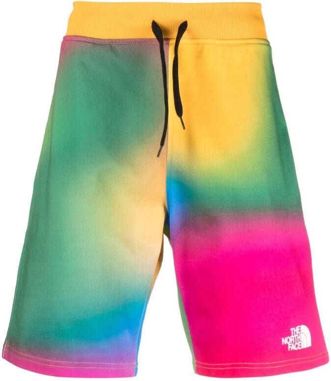 The North Face Bermuda shorts Groen
