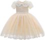 Tulleen Dolly jurk met geborduurd kant Beige - Thumbnail 1