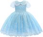 Tulleen Dolly jurk met geborduurd kant Blauw - Thumbnail 1