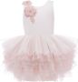 Tulleen Tule jurk Roze - Thumbnail 1