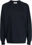 YMC Sweater met raglan mouwen Blauw - Thumbnail 1