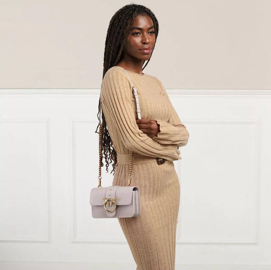 Pinko Womens Bags Cross Body Grey Noos Grijs Dames