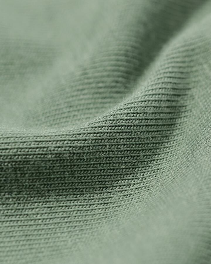 HEMA Dames T-shirt Basic O-hals Groen (groen)