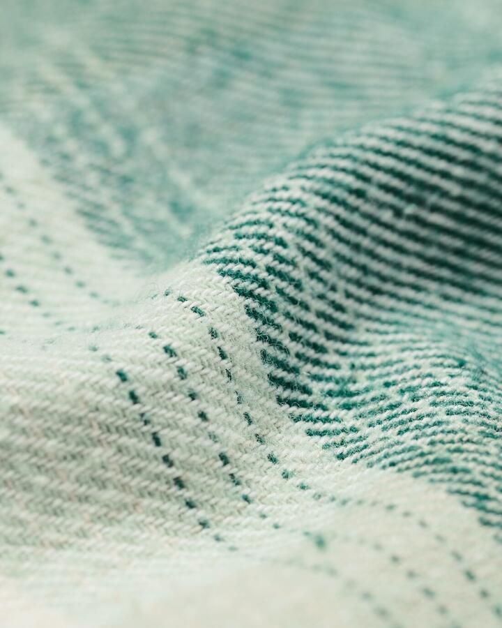 HEMA Kinderoverhemd Ruiten Groen (groen)