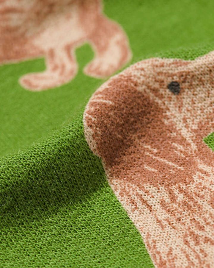 HEMA Baby Sweater Hond Groen (groen)