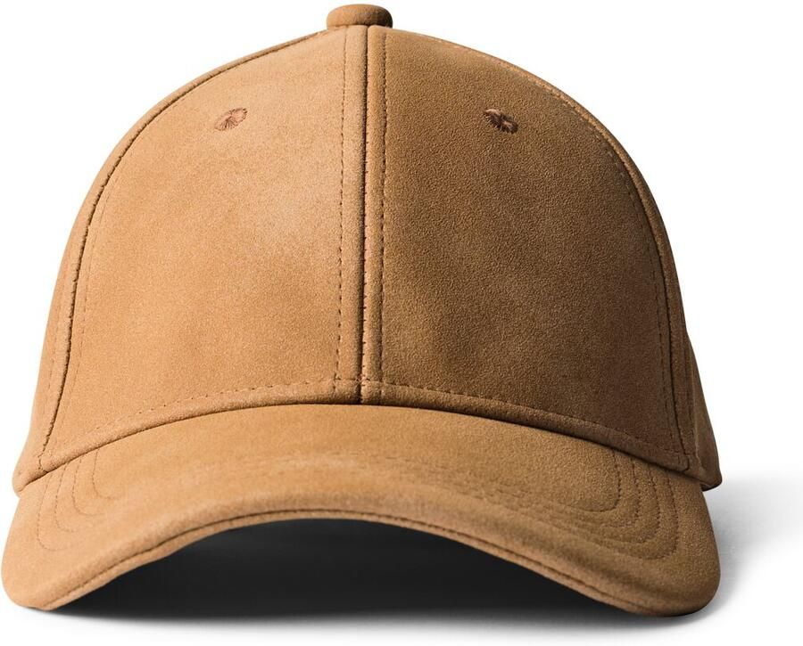 HEMA (camel)