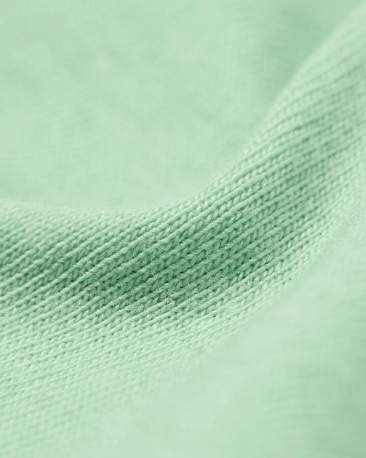 HEMA Dames Pyjamatop Katoen Lichtgroen (lichtgroen) - Foto 1