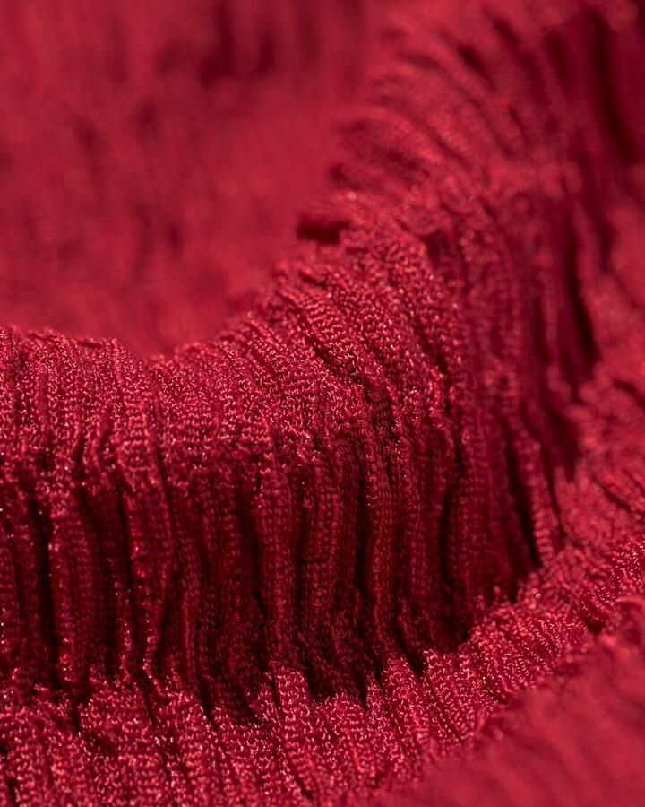 HEMA Dames Top Dewi Crinkle Rood (rood)