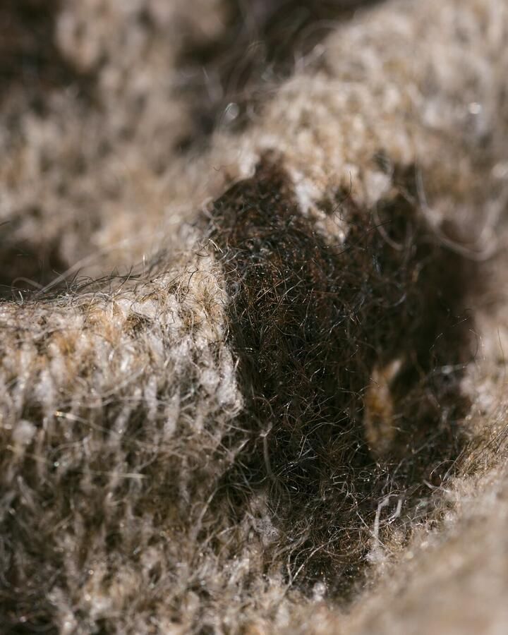 HEMA Damesjurk Gelly Luipaard Multi (multi) - Foto 2