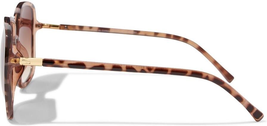 HEMA Dameszonnebril Groot Vierkant Bruin (Brown)