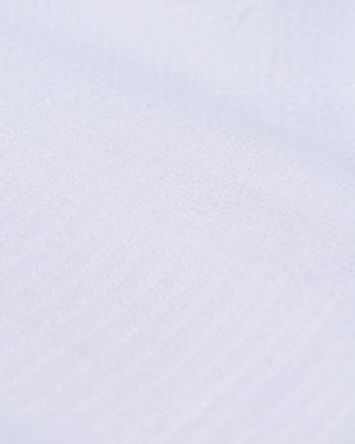 HEMA Heren Enkelsokken Sport 2 Paar Wit (wit)