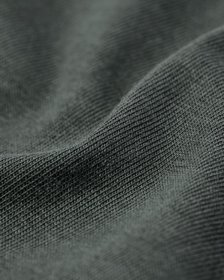 HEMA Heren T-shirt Regular Fit Grijs (grijs) - Foto 2
