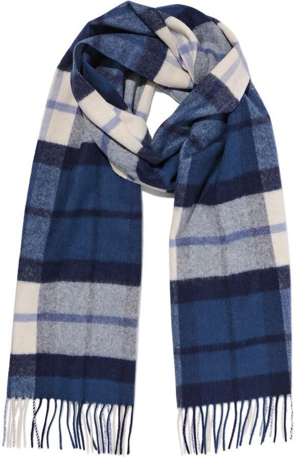 HEMA Herensjaal Ruiten (blauw)