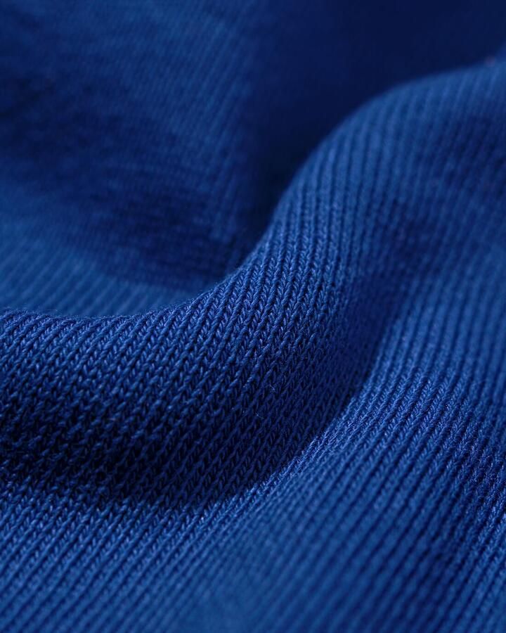 HEMA Herentrui Daryl Regular Fit Sweatstof Felblauw (felblauw) - Foto 2