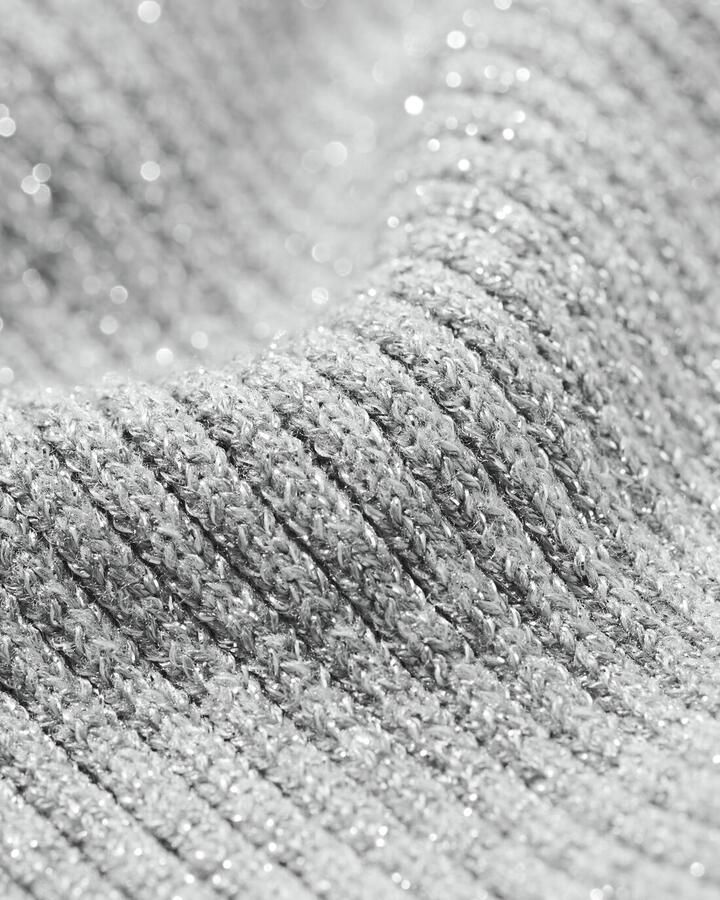 HEMA Kindertrui Glitter Zilver (zilver)