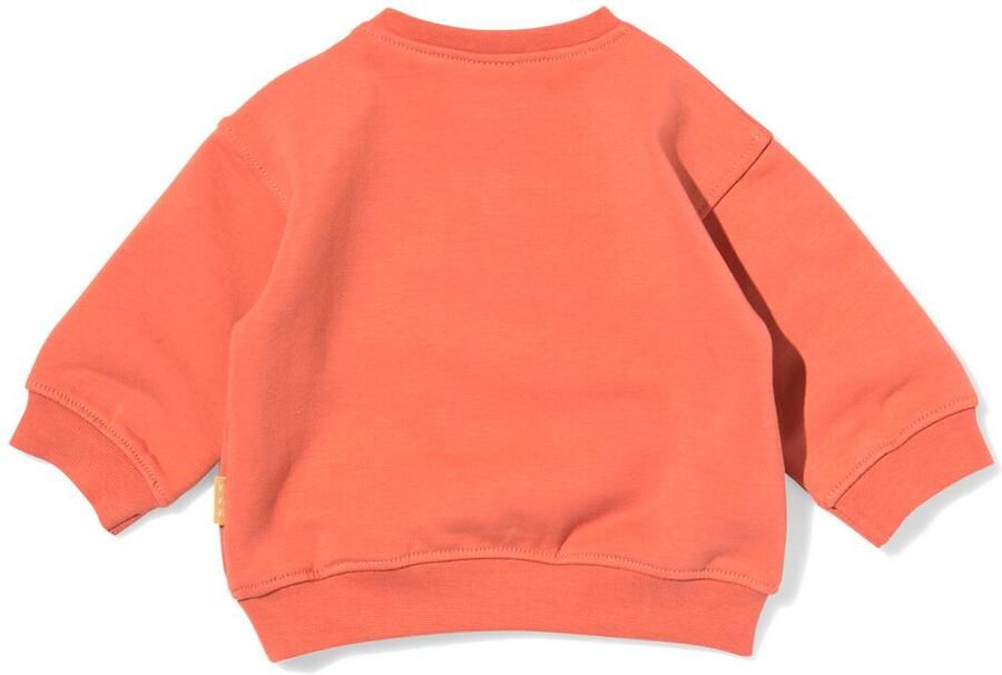 HEMA Newborn Sweater Beren Roze (roze)