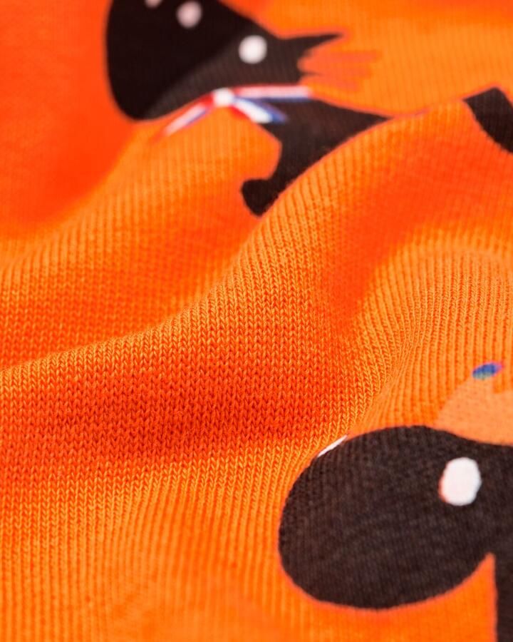 HEMA Takkie En Siepie Kindersweater WK Oranje (oranje) - Foto 2