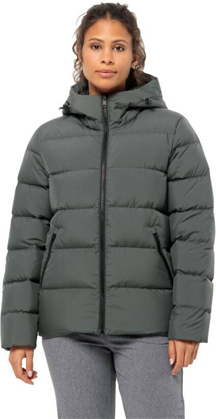 Jack Wolfskin Frozen Palace Jacket Women Donsjack Dames XS slate green slate green