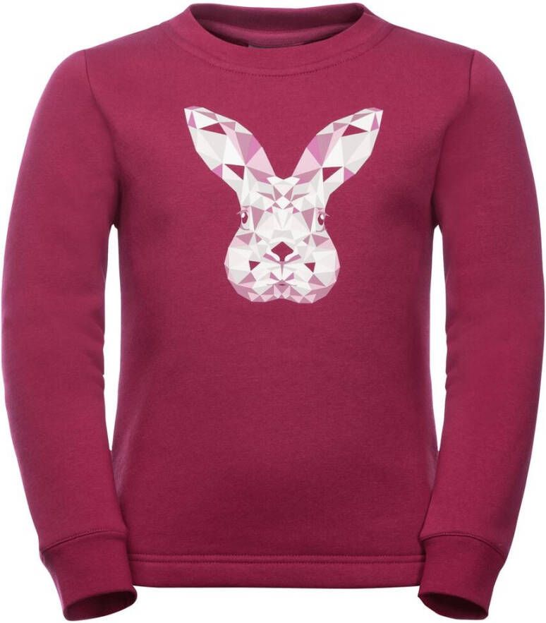 Jack Wolfskin Animal Pullover Kids Fleece trui Kinderen 116 red dark ruby