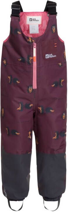 Jack Wolfskin Gleely 2L Ins Print BIB Kids Winteroverall Kinderen 128 enberry 51 enberry 51