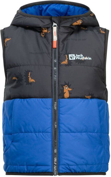 Jack Wolfskin Gleely Ins Hooded Vest Kids Outdoor-bodywarmer Kinderen 104 nordic sky nordic sky