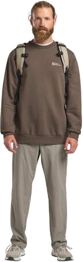 Jack Wolfskin Essential Crewneck Men Trui van biologisch katoen heren XXXL cold coffee cold coffee - Foto 7