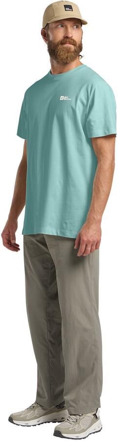 Jack Wolfskin Essential T-Shirt Men T-shirt van biologisch katoen Heren 2XL soft jade soft jade - Foto 5
