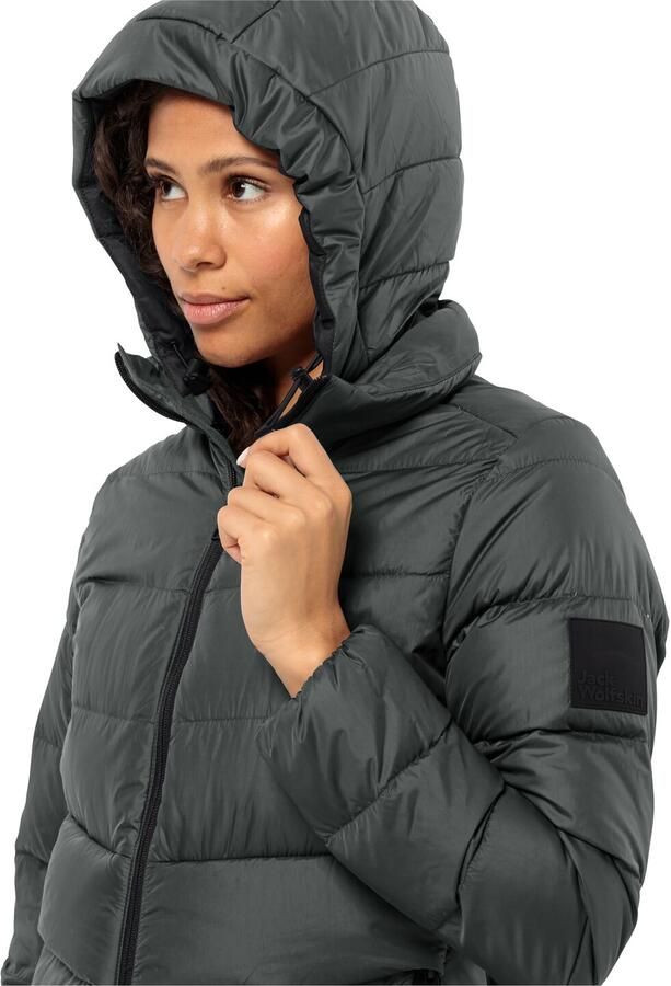 Jack Wolfskin Lenauplatz Coat Women RDS Donsjas Dames XXL slate green slate green - Foto 3