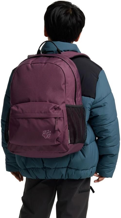 Jack Wolfskin Rebel Packs 25 Dagrugzak Kinderen One Size amaranth - Foto 11