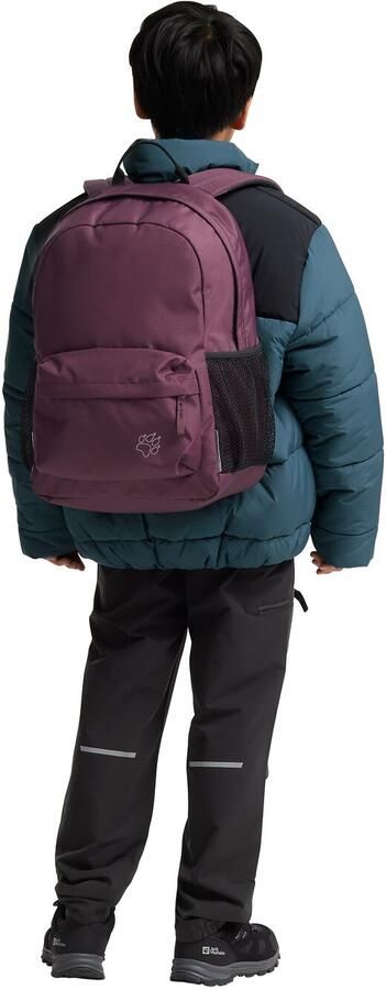 Jack Wolfskin Rebel Packs 25 Dagrugzak Kinderen One Size amaranth - Foto 16
