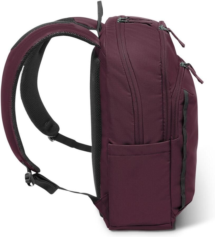 Jack Wolfskin Terracade Dagrugzak One Size amaranth - Foto 3
