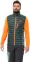 Jack Wolfskin Routeburn Pro Ins Vest Men Outdoor-bodywarmer Heren L black olive black olive - Thumbnail 1