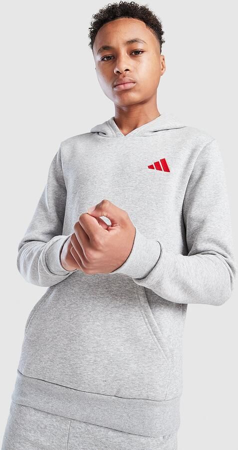 Adidas Core Badge of Sport Hoodie Junior Grijs Kind Grijs