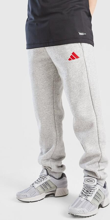 Adidas Core Joggers Junior Grijs Kind Grijs