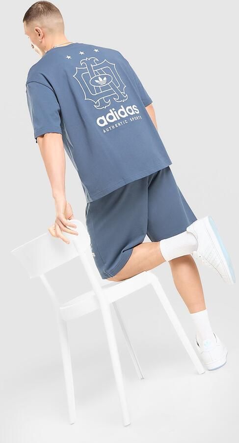 Adidas Originals Embroidered Oversized T-Shirt Blauw- Heren Blauw