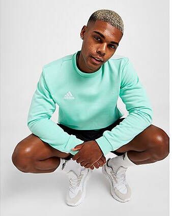Adidas Entrada 22 Sweatshirt Clear Mint- Heren