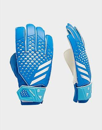 Adidas Predator 20 Training Goalkeeper Gloves Blue- Dames