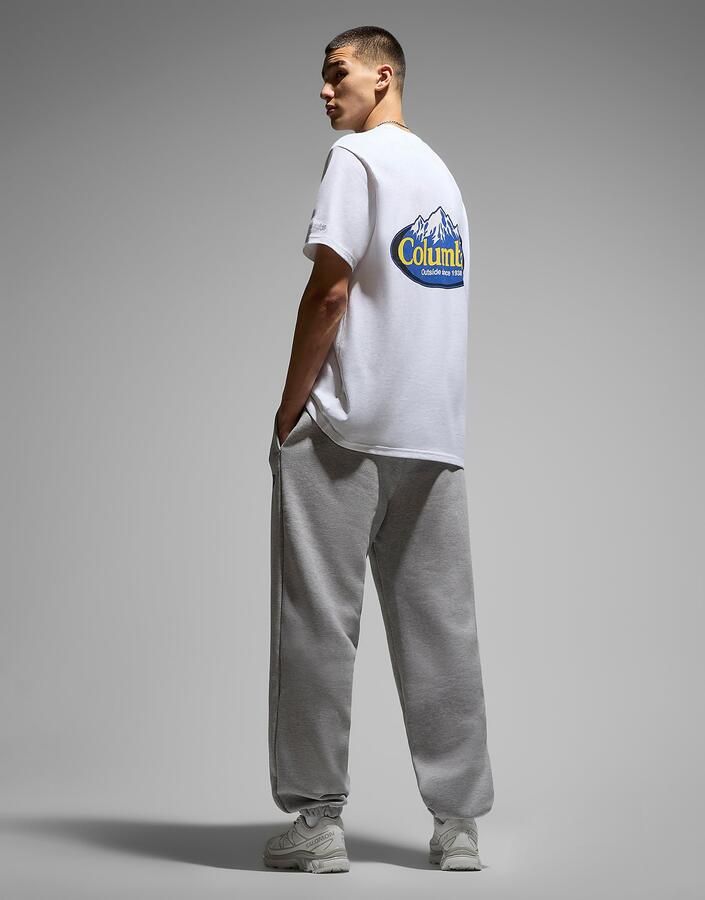 Columbia Snowy Peaks Heavy T-Shirt Wit- Heren Wit
