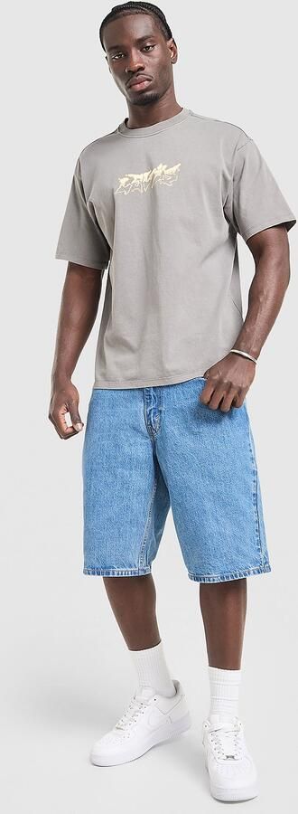 Levis LEVI'S Skate Wish T-Shirt Grijs- Heren Grijs