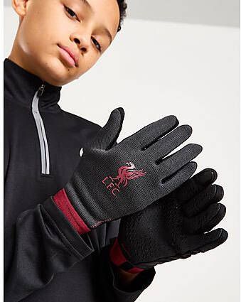 Nike Liverpool FC Therma-FIT Gloves Grey-