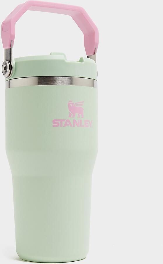Stanley 1913 IceFlow Flip Straw 0.59L Tumbler Groen- Dames Groen