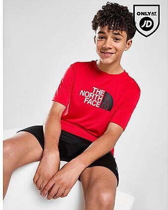 The North Face Reaxion Large Logo T-Shirt Red Kind