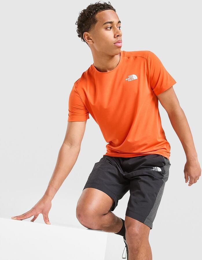 The North Face Alpine T-Shirt Rood- Heren Rood