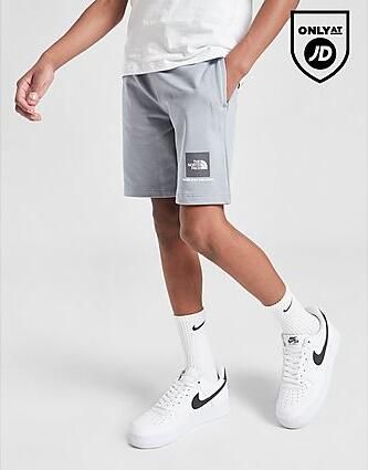 The North Face Box Logo Shorts Junior Grey