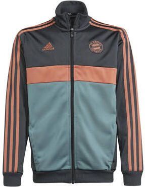 Adidas Perfor ce Junior FC Bayern München trainingspak Grijs Polyester Opstaande kraag 164