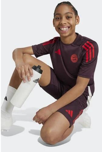 Adidas Perfor ce junior FC Bayern München voetbalshirt training Sport t-shirt Paars Polyester Ronde hals 164 - Foto 3