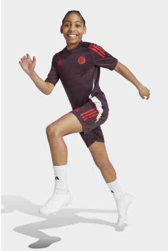 Adidas Perfor ce Junior FC Bayern München voetbalshort training donkerpaars rood wit Sportbroek Polyester 128 - Foto 2