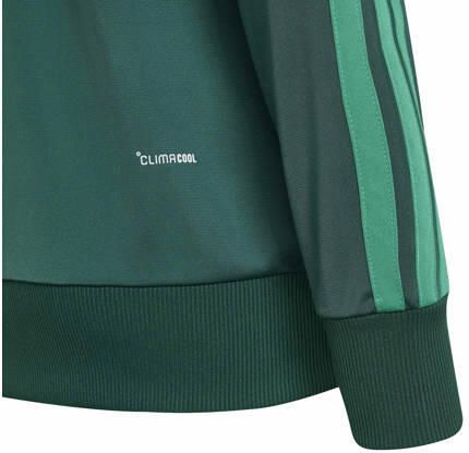 Adidas Sportswear junior trainingspak groen Polyester Opstaande kraag - Foto 2