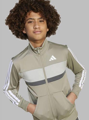 Adidas Sportswear Junior trainingspak groen grijs Polyester Opstaande kraag - Foto 2
