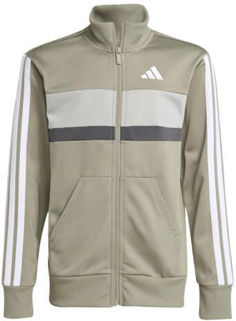 Adidas Sportswear Junior trainingspak groen grijs Polyester Opstaande kraag - Foto 3